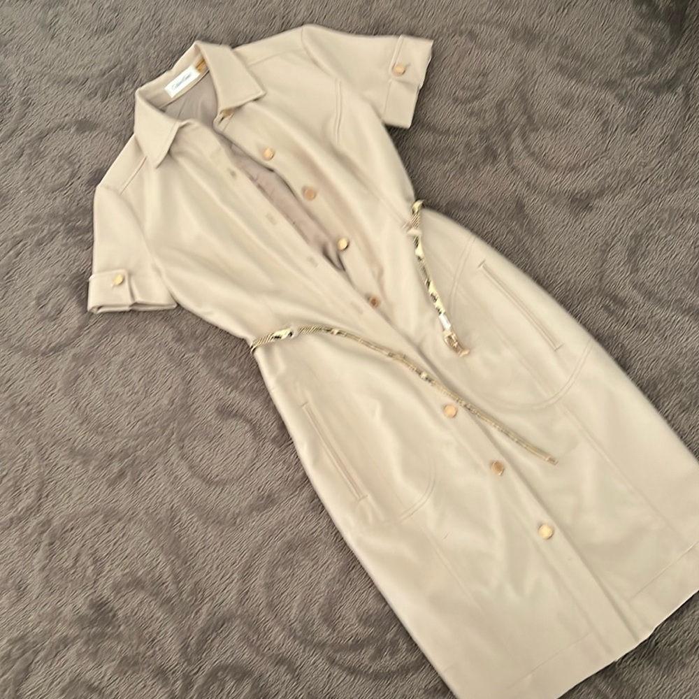 Cutie Calvin Klein dress